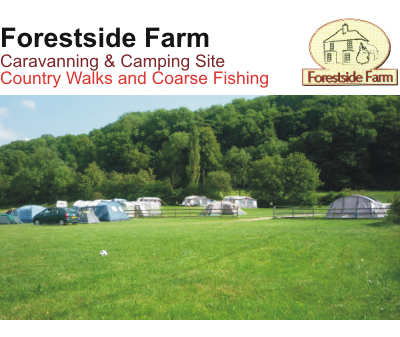 Forestside Farm Caravan & Campsite 7304