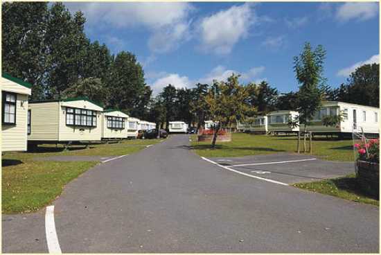 The Lillies Caravan Park 7342