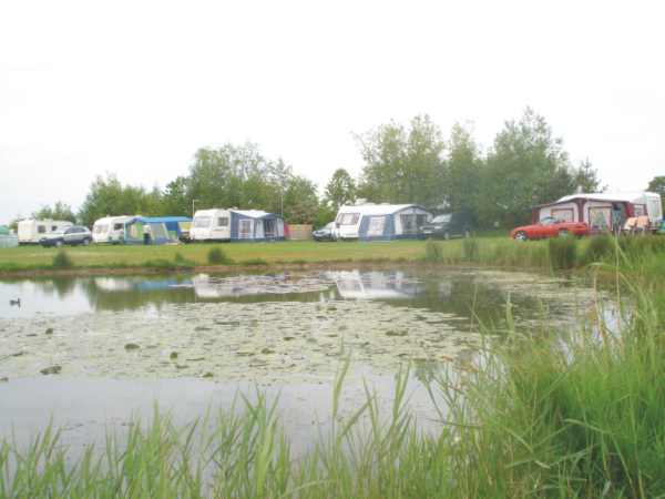 The Lillies Caravan Park 7346