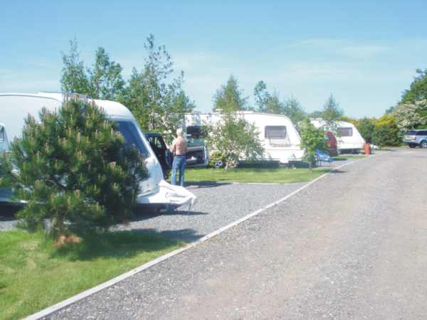 The Lillies Caravan Park 7347