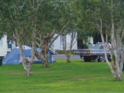 Maynards Caravan and Camping Park