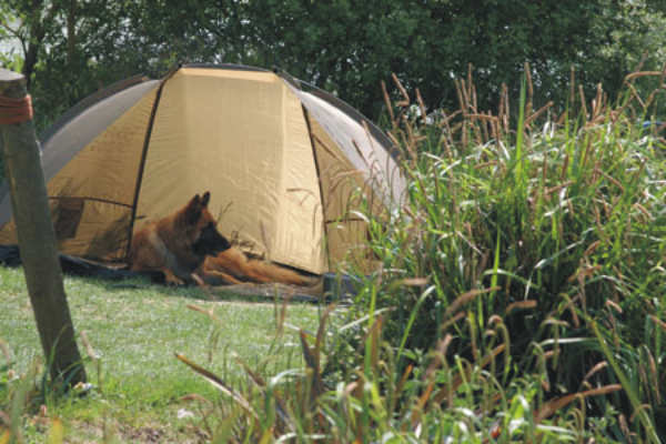 Sumners Ponds Campsite & Fishery 7426