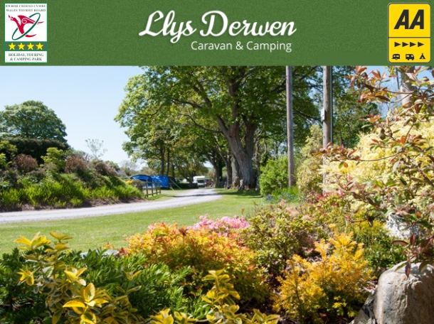 Llys Derwen Caravan & Camping Site 747