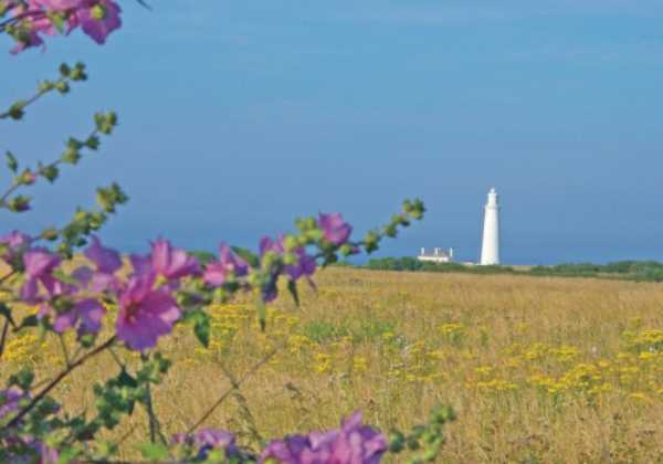 Whitley Bay Holiday Park 7540