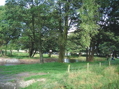 Blackwater Hostel and Riverside Campsite 7582