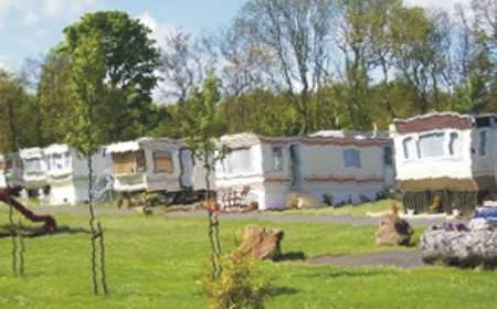 Cringoed Holiday Park 7624
