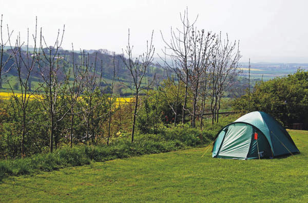 Strawberry Hill Farm Caravan & Camping Park 7643