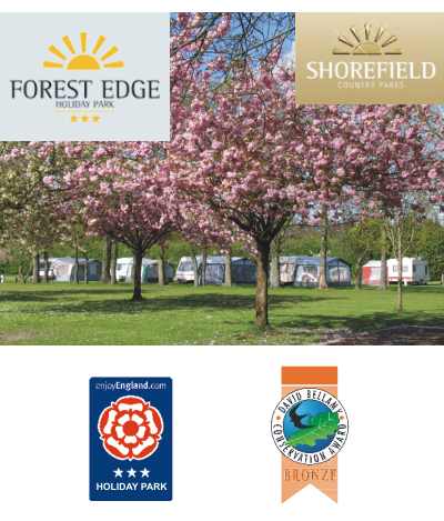 Forest Edge Holiday Park