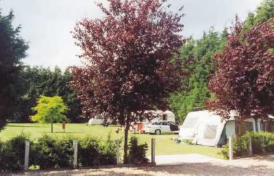 The Orchards Caravan Park 7835