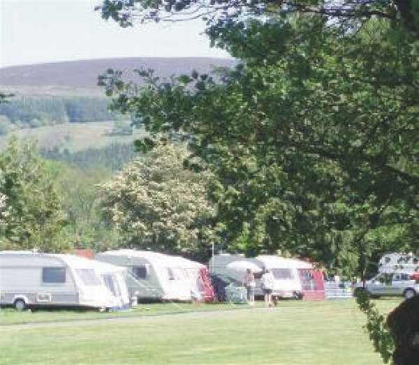 Hendwr Caravan Park 7988