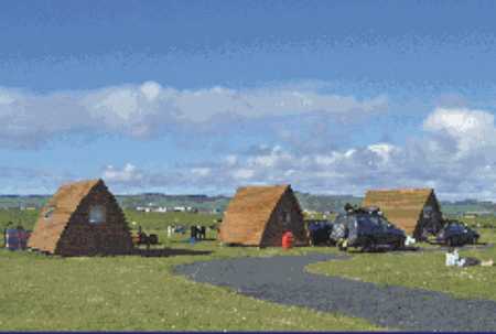 Machrihanish Caravan & Camping Park 8360