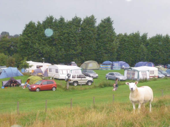 Demesne Farm Campsite 8485