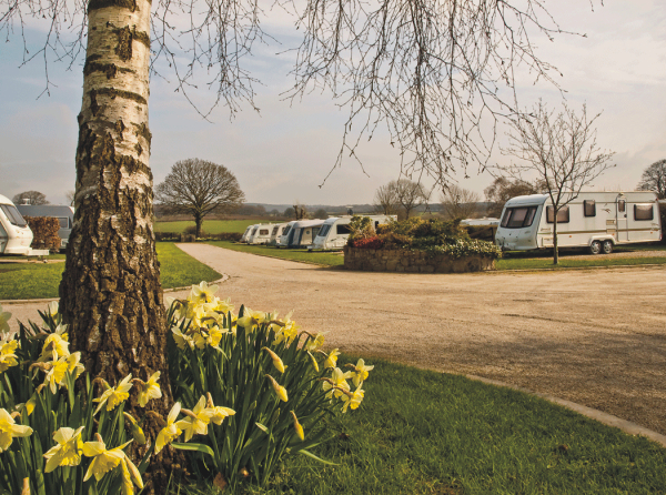 Penisar Mynydd Caravan Park 8524