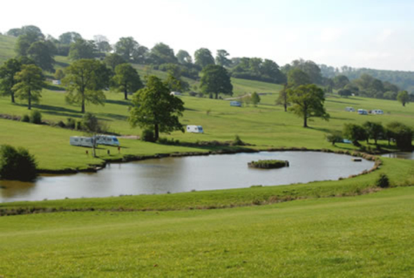 Eastnor Deer Park Campsite 8576