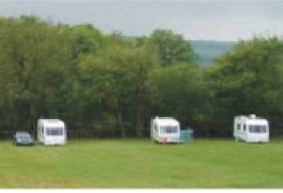 Eastnor Deer Park Campsite 8581