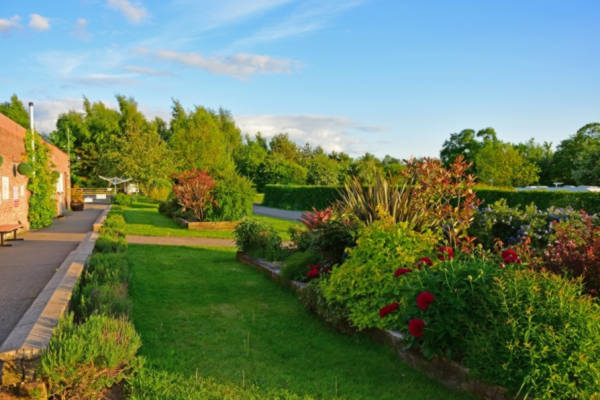 Naburn Lock Caravan Park 8584