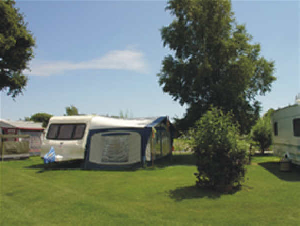 Acorn Camping and Caravan Park 8654