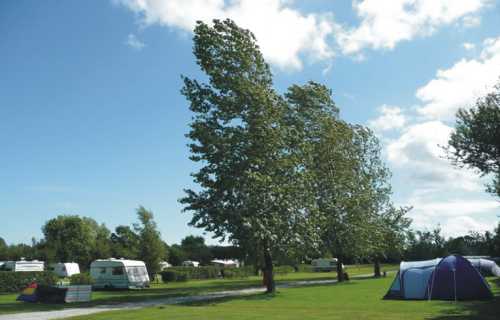 Black Bull Caravan Park 9046