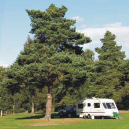 Holme Valley Camping and Caravan Park 9227