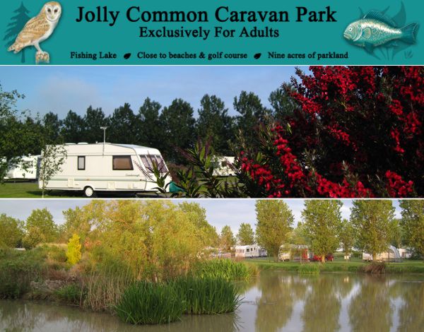 Jolly Common Caravan Park 950