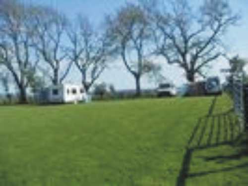Faugh Head Farm Caravan & Camping Site 9653