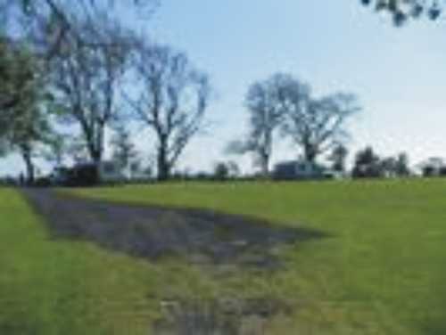 Faugh Head Farm Caravan & Camping Site 9654