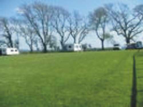 Faugh Head Farm Caravan & Camping Site 9655