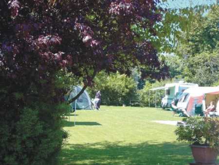 Fir Tree Caravan Park 9681