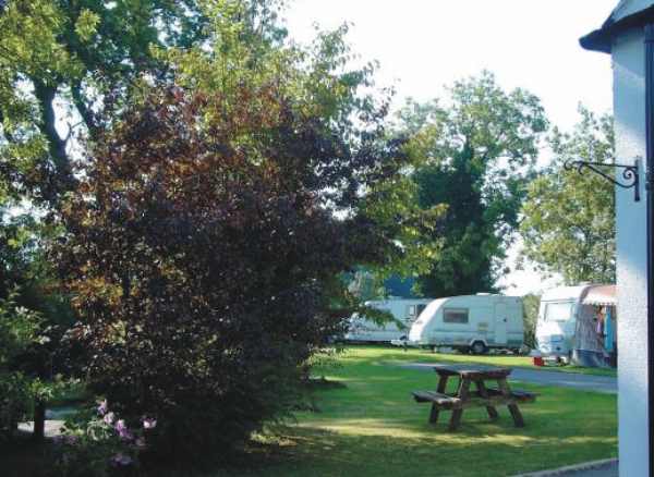 Fir Tree Caravan Park 9682