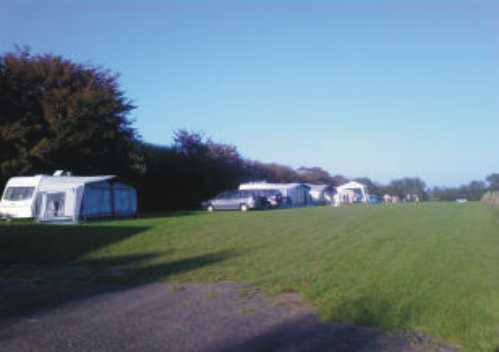 Brinscott Farm Camping 9688