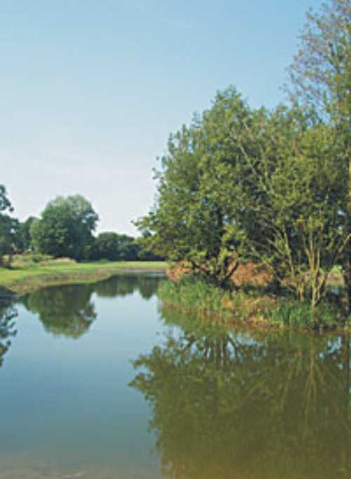 Swans Harbour Caravan and Camping Site 9762