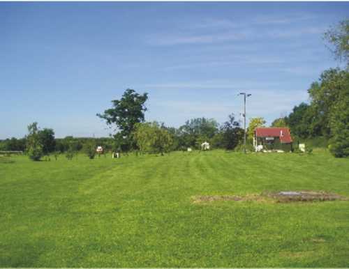 The Beeches Camp Site 9791