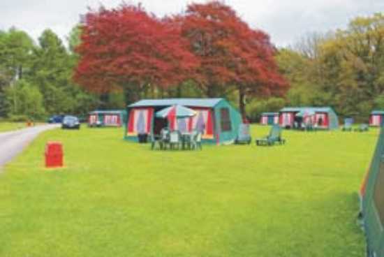 West End Farm Caravan and Camping Park 9856