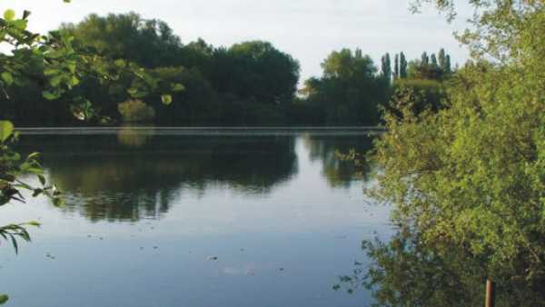 Bain Valley Fisheries Caravan Park 9896