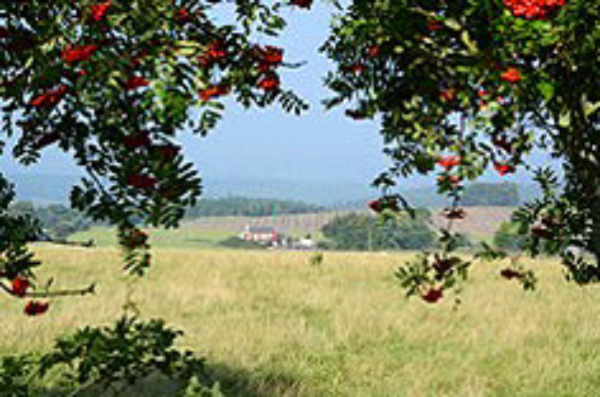 Rye Hill Farm Campsite 9914