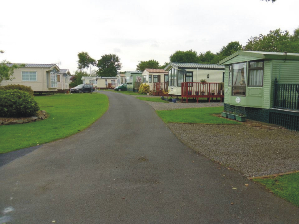 Rye Hill Farm Campsite 9919