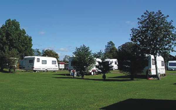 Drumshademuir Caravan Park 9931