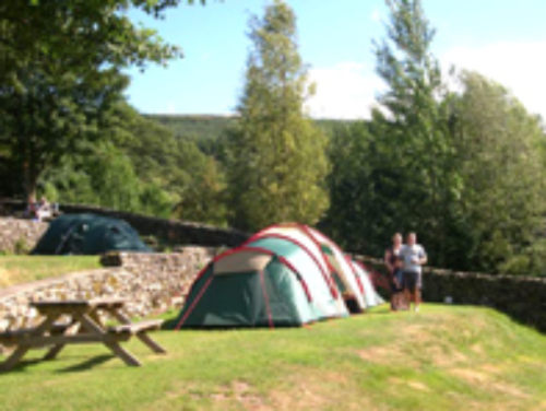 Howgill Lodge Caravan & Camping Park 9953