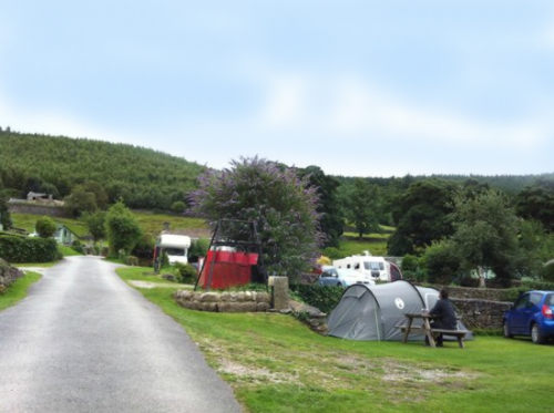 Howgill Lodge Caravan & Camping Park 9954