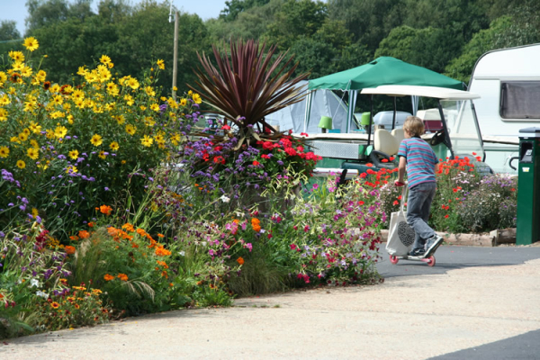 Chestnut Meadow Camping & Caravan Park 9960