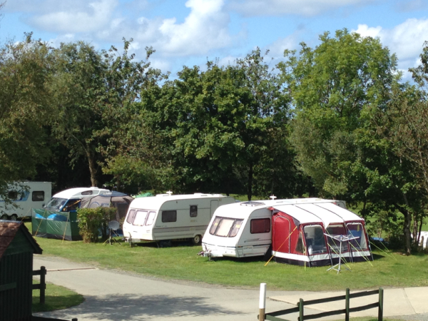 Hedley Wood Caravan & Camping Park 9978