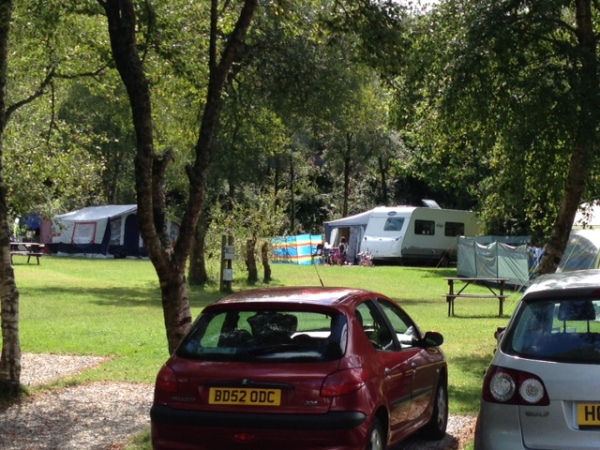 Hedley Wood Caravan & Camping Park 9980